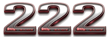 222 game logo